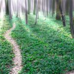 connor-banner Rebecca Connor - relationships therapist in Plymouth, Minnesota