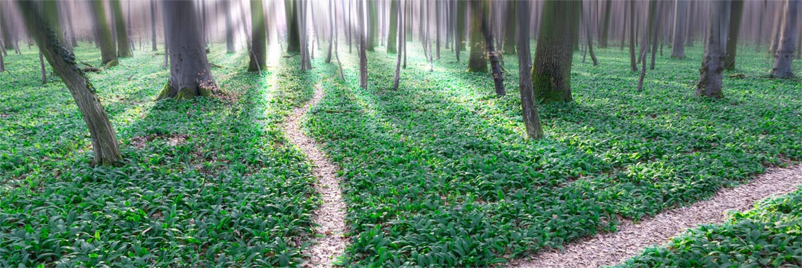 connor-banner Rebecca Connor - relationships therapist in Plymouth, Minnesota